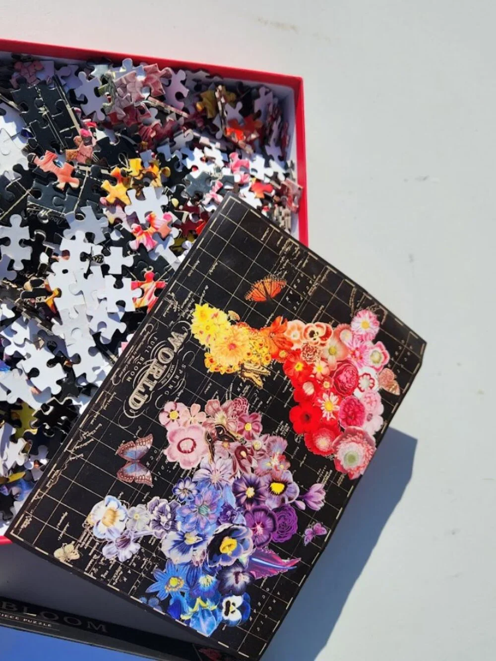 Ravensburger galison full
